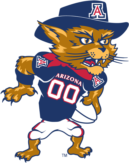Arizona Wildcats 2003-Pres Mascot Logo v4 diy fabric transfer